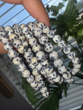 Dalmatian Jasper Bead bracelet